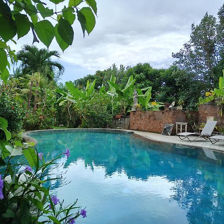 Warsi Bungalow Ubud Exteriör bild